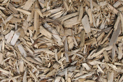 biomass boilers Meikleour